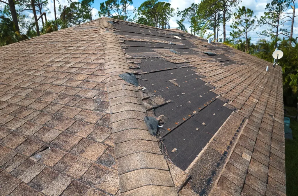 What Kind Of Roof Damage Is Covered By Roof Insurance_ Types of Roof Damage Covered By Insurance