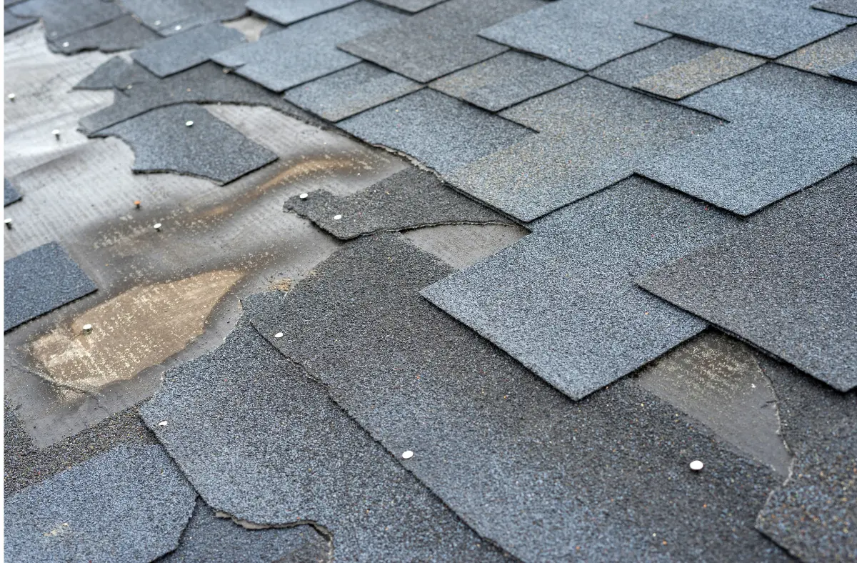 Damaged Roof