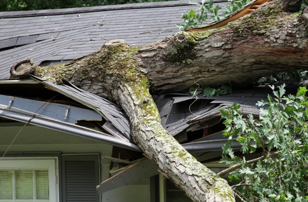 What to Do If Your Roof Has Storm Damage