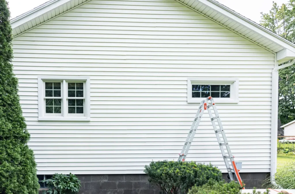 best siding
