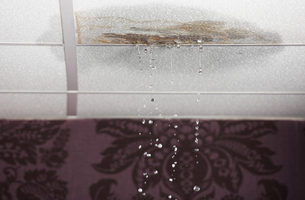 emergency leak repair