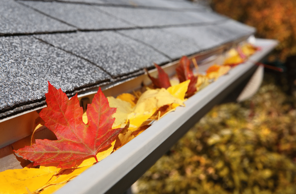 fall roof maintenance