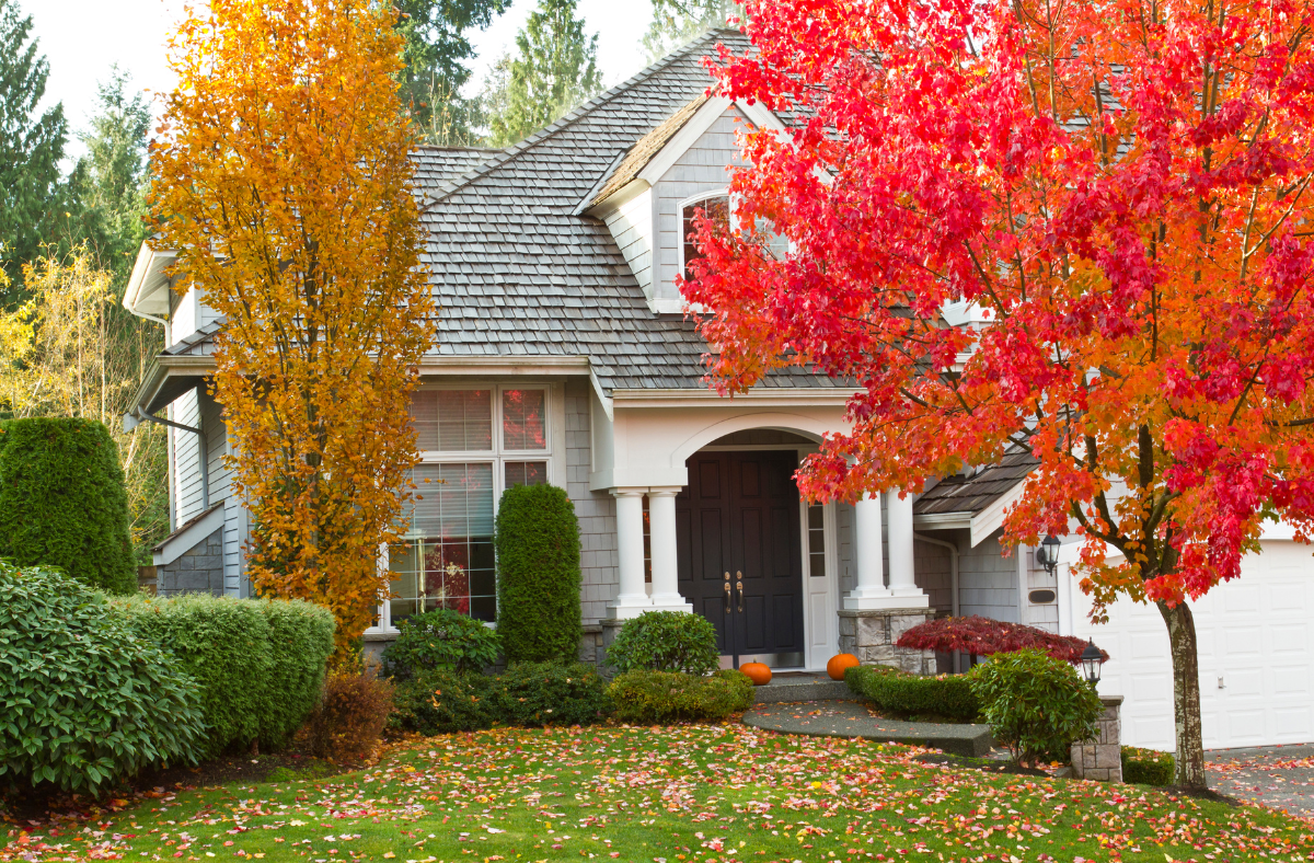 maintaining roof in fall