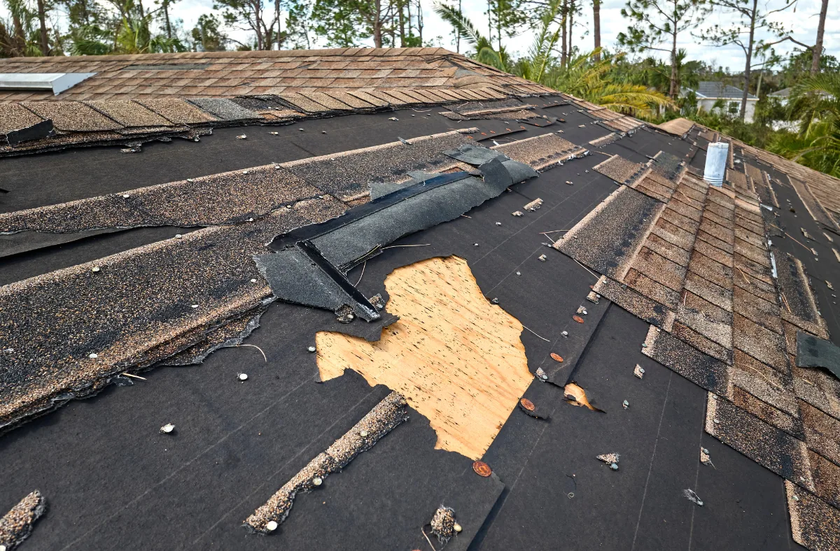 roof emergency repair